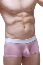 Boxer Dome Skine Tea Rose