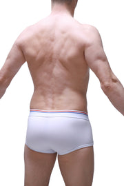 Boxer Morrier blanco