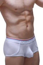 Boxer Morrier blanco