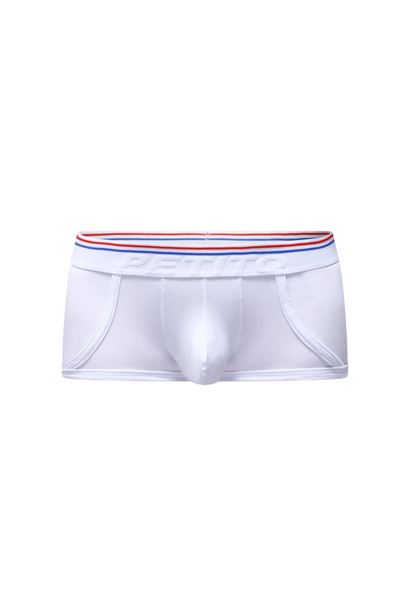 Boxer Morrier Blanc