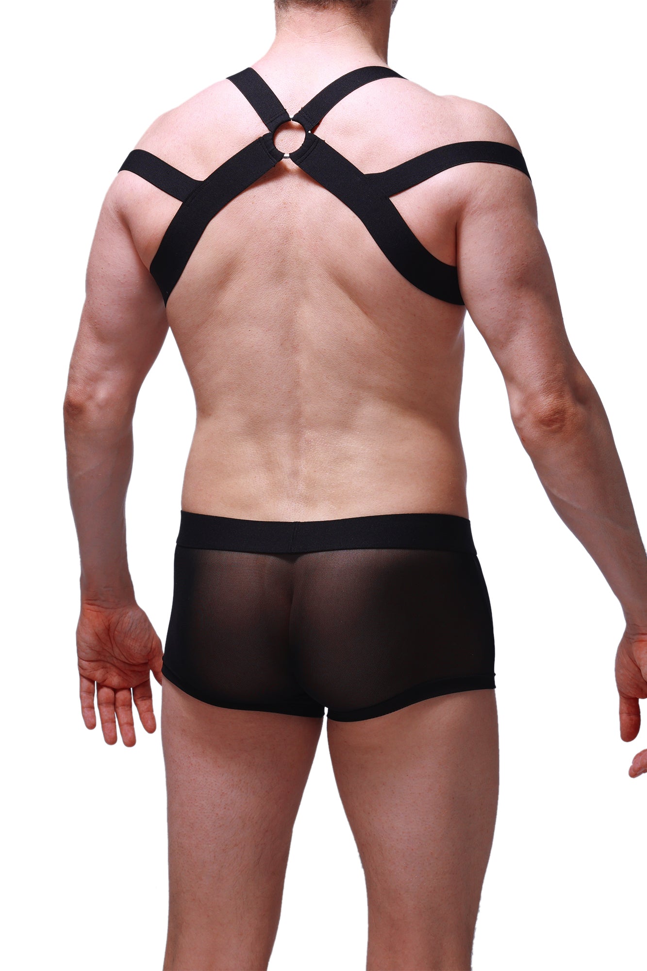 Harnais Louens Noir