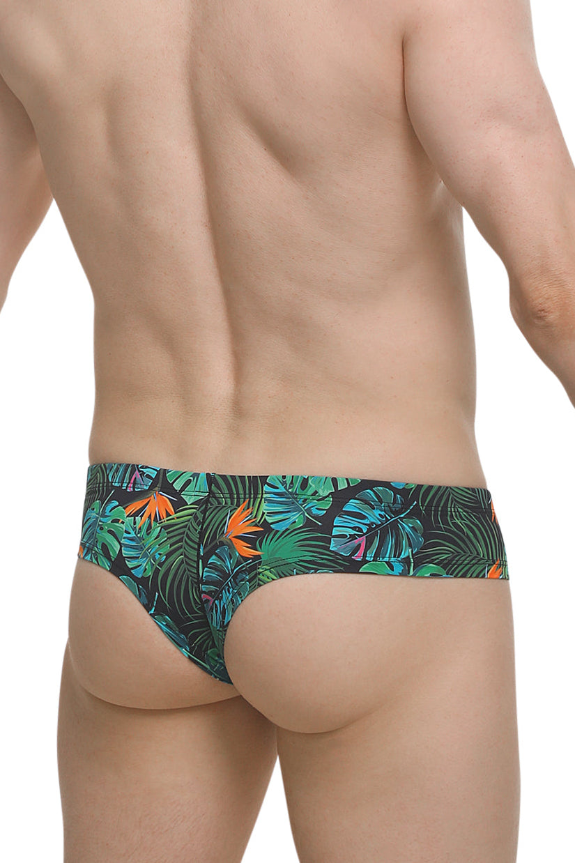 Tropical Mini Boxer
