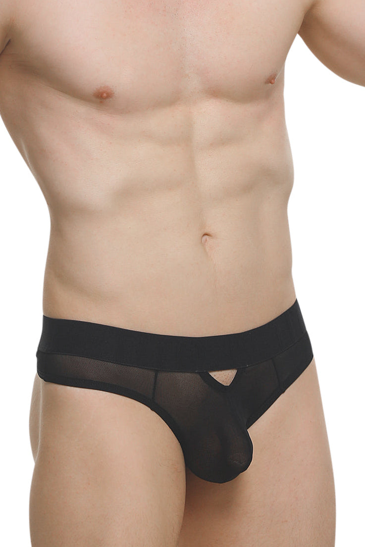 Black Alouis Net String