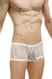 Plouhac Lace Boxer Weiß