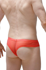 Mini Boxer Cheeky Transparente Pastel